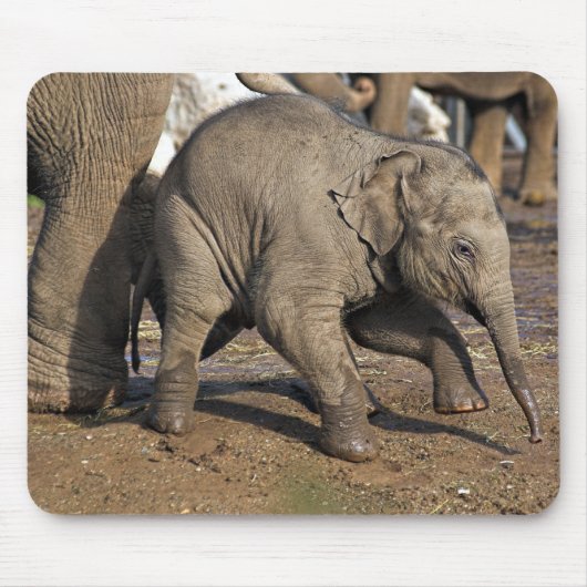 Baby olifant muismat (Voorkant)