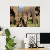Baby olifant poster (Thuiskantoor)
