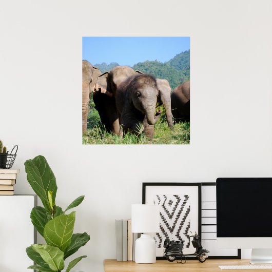 Baby olifant poster (Thuiskantoor)
