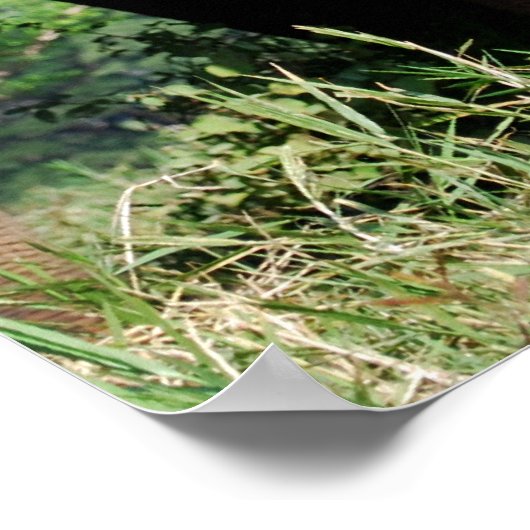 Baby olifant poster (Hoek)