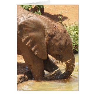 Baby olifant spelen bij honden