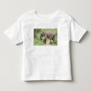 Baby Olifant volgt de moeder,Corbett Kinder Shirts