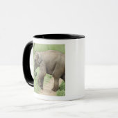 Baby Olifant volgt de moeder,Corbett Mok (Voorkant links)