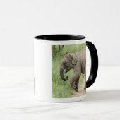 Baby Olifant volgt de moeder,Corbett Mok (Voorkant rechts)