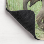 Baby Olifant volgt de moeder,Corbett Muismat (Hoek)