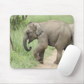 Baby Olifant volgt de moeder,Corbett Muismat (Met muis)