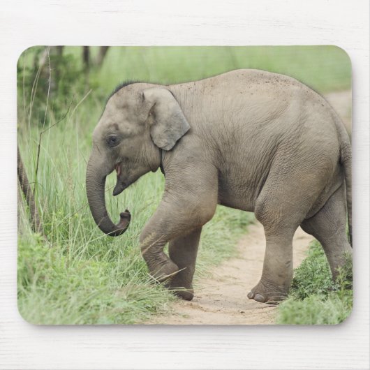 Baby Olifant volgt de moeder,Corbett Muismat (Voorkant)