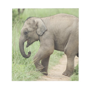 Baby Olifant volgt de moeder,Corbett Notitieblok