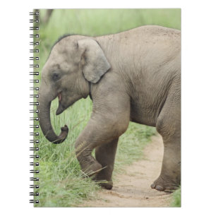 Baby Olifant volgt de moeder,Corbett Notitieboek