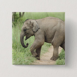 Baby Olifant volgt de moeder,Corbett Vierkante Button 5,1 Cm