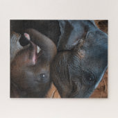 Baby olifanten in waterglimlach legpuzzel (Horizontaal)