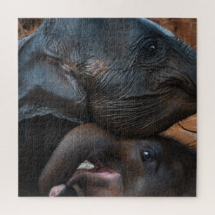 Baby olifanten in waterglimlach legpuzzel