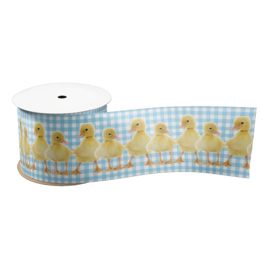 Baby op Aqua Gingham Satijnen Lint (Spoel)