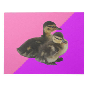 Baby op roze frambozen en Paarse sorbet Notitieblok