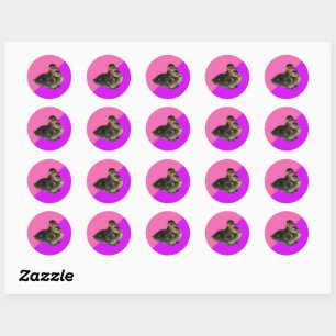 Baby op roze frambozen en Paarse sorbet Ronde Sticker