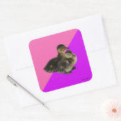 Baby op roze frambozen en Paarse sorbet Vierkante Sticker (Envelop)