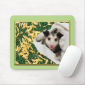 Baby opossum muismat (Met muis)