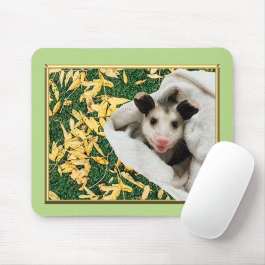 Baby opossum muismat (Met muis)