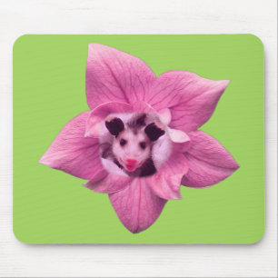 Baby opossum muismat