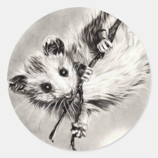 Baby Opossum Stickers