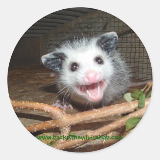 baby opossum stickers (Voorkant)