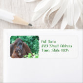 Baby orang-oetan met moeder mailing labels (Insitu)
