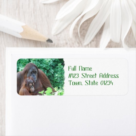 Baby orang-oetan met moeder mailing labels (Insitu)