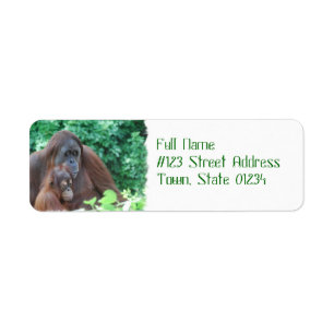 Baby orang-oetan met moeder mailing labels