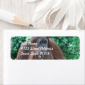 Baby orang-oetan met moeder mailing labels (Insitu)