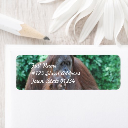 Baby orang-oetan met moeder mailing labels (Insitu)