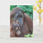 Baby orang-oetan met moeder Wenskaart Kaart (Gele Bloem)