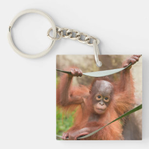 Baby Orang-oetan Verbinding Sleutelhanger