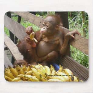 Baby Orangutan Banana Picnic Muismat
