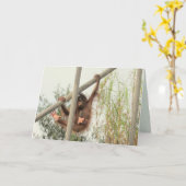 Baby Orangutan Birthday Kaart (Gele Bloem)