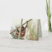 Baby Orangutan Birthday Kaart (Voorkant)