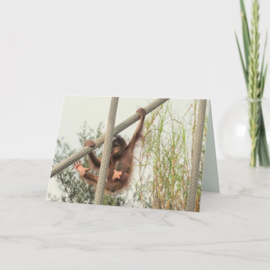 Baby Orangutan Birthday Kaart (Voorkant)