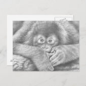Baby Orangutan Briefkaart (Voorkant / Achterkant)