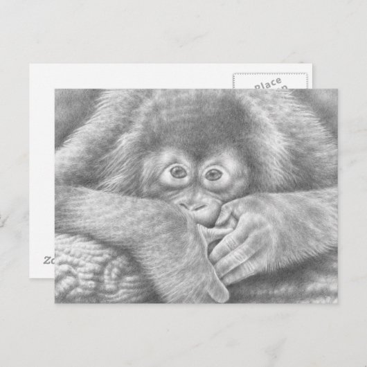 Baby Orangutan Briefkaart (Voorkant / Achterkant)