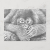 Baby Orangutan Briefkaart (Voorkant)