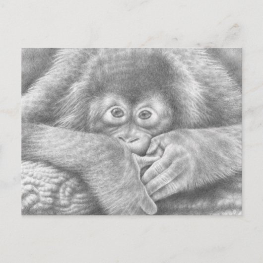 Baby Orangutan Briefkaart (Voorkant)