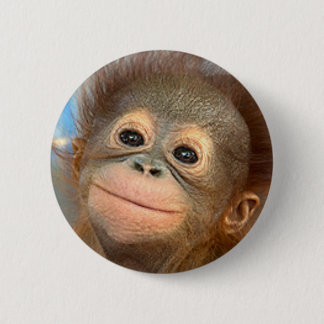 BABY ORANGUTAN BUTTON PIN