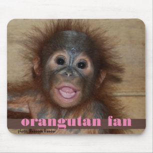Baby orangutan Fan Muismat