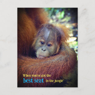 Baby Orangutan Feestdagenkaart