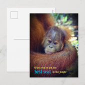 Baby Orangutan Feestdagenkaart (Voorkant / Achterkant)