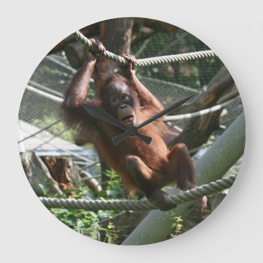 Baby Orangutan - Hang daar op Grote Klok (Voorkant)