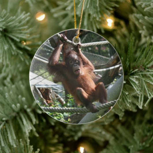 Baby Orangutan - Hang daar op Keramisch Ornament (Boom)