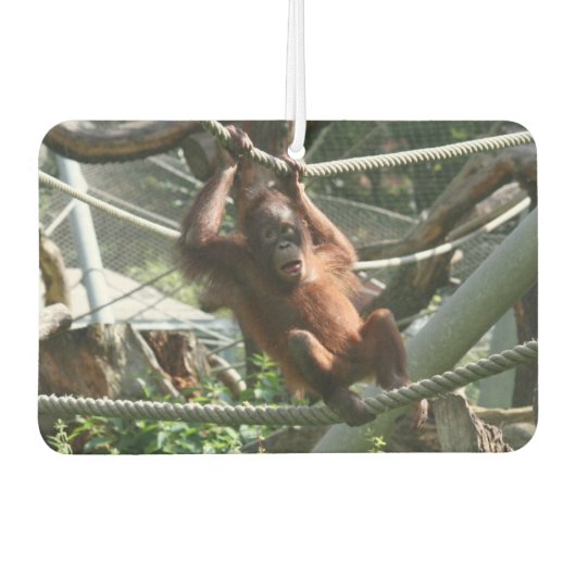 Baby Orangutan - Hang daar op Luchtverfrisser (Voorkant)