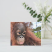 Baby Orangutan in Borneo Briefkaart (Staand voorkant)