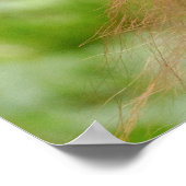 Baby Orangutan Joy Poster (Hoek)