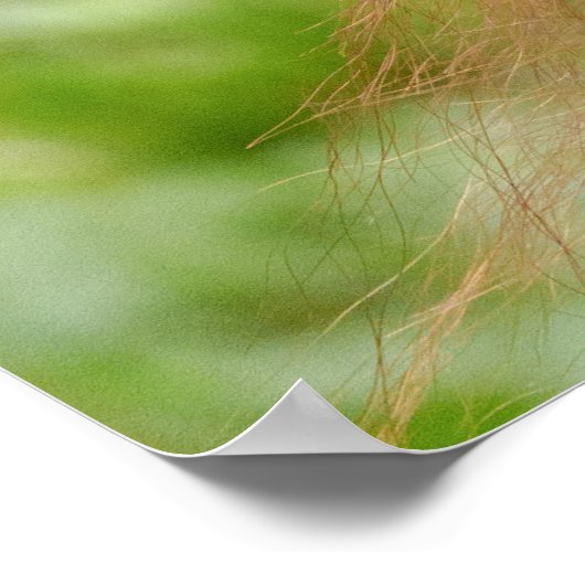 Baby Orangutan Joy Poster (Hoek)